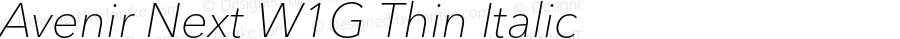 AvenirNextW1G-ThinItalic