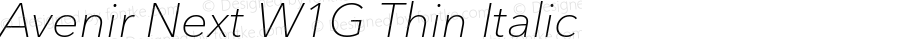 AvenirNextW1G-ThinItalic