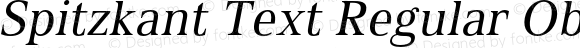 Spitzkant Text Regular Oblique