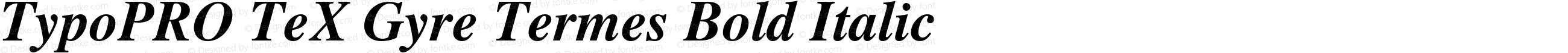 TypoPRO TeX Gyre Termes Bold Italic