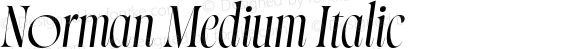 Norman Medium Italic