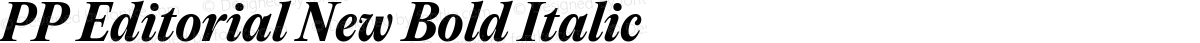 PP Editorial New Bold Italic