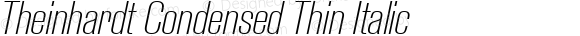 Theinhardt Condensed Thin Italic