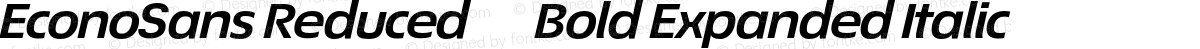 EconoSans Reduced 74 Bold Expanded Italic