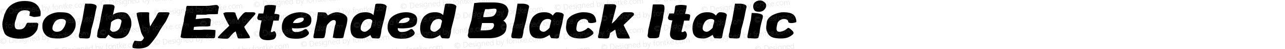 Colby Extended Black Italic