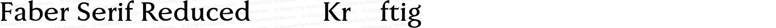 Faber Serif Reduced 65 Kräftig