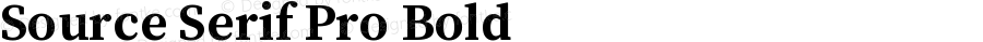 Source Serif Pro Bold