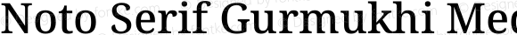 Noto Serif Gurmukhi Medium