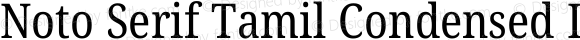 Noto Serif Tamil Condensed Italic