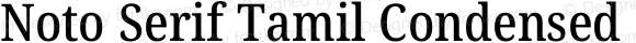 Noto Serif Tamil Condensed Medium Italic
