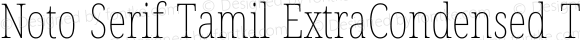 Noto Serif Tamil ExtraCondensed Thin Italic