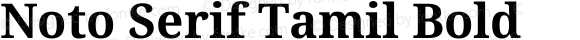 Noto Serif Tamil Bold