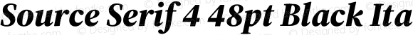 Source Serif 4 48pt Black Italic