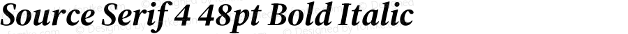 Source Serif 4 48pt Bold Italic