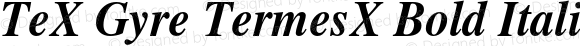 TeX Gyre TermesX Bold Italic