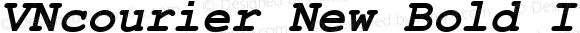VNcourier New Bold Italic