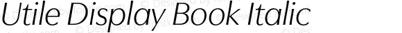 UtileDisplay-BookItalic