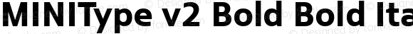 MINIType v2 Bold Bold Italic