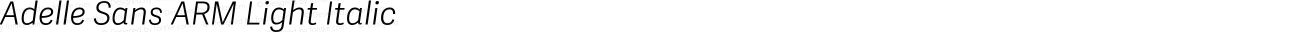 Adelle Sans ARM Light Italic
