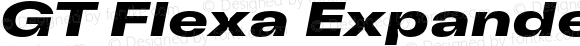 GT Flexa Expanded Bold Italic