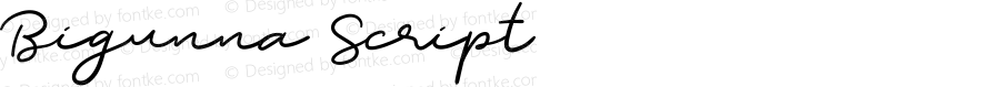 Bigunna Script Version 1.000