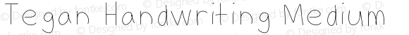 Tegan Handwriting Medium