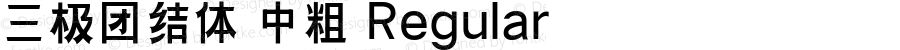 三极团结体 中粗 Regular