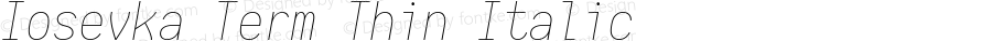 Iosevka Term Thin Italic