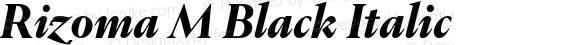 Rizoma M Black Italic