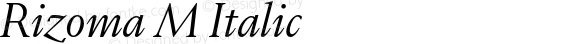 Rizoma M Italic