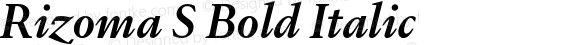 Rizoma S Bold Italic