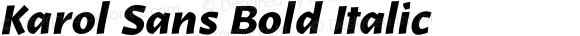 Karol Sans Bold Italic