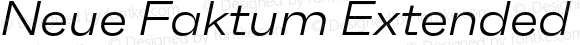 Neue Faktum Extended Light Italic