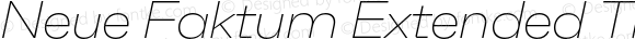 Neue Faktum Extended Thin Italic