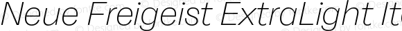 Neue Freigeist ExtraLight Italic