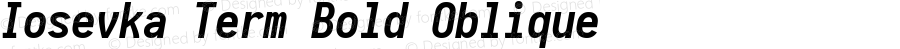 Iosevka Term Bold Oblique