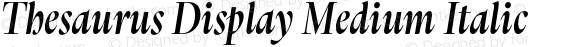 Thesaurus Display Medium Italic