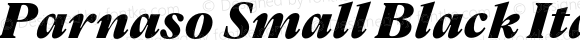 Parnaso Small Black Italic