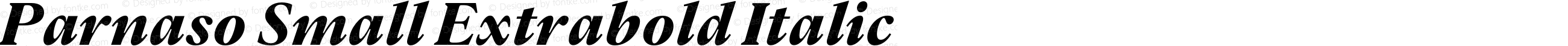 Parnaso Small Extrabold Italic