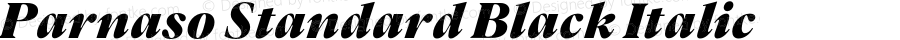 Parnaso Standard Black Italic