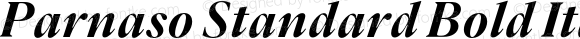 Parnaso Standard Bold Italic