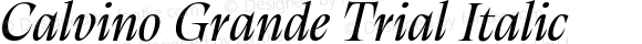 Calvino Grande Trial Italic