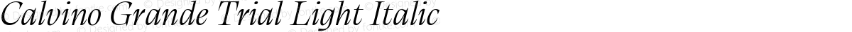 Calvino Grande Trial Light Italic