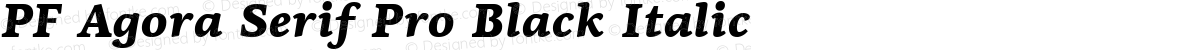 PF Agora Serif Pro Black Italic