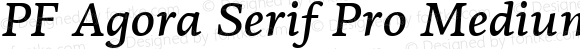 PF Agora Serif Pro Medium Italic