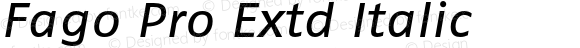 Fago Pro Extd Italic