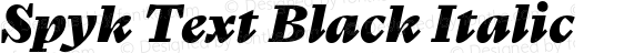 Spyk Text Black Italic