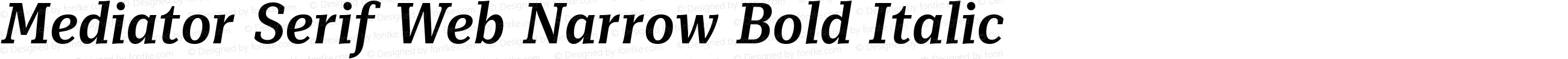 Mediator Serif Web Narrow Bold Italic