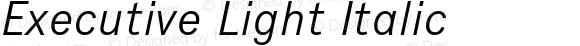 Executive Light Italic