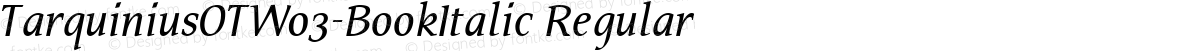 TarquiniusOTW03-BookItalic Regular